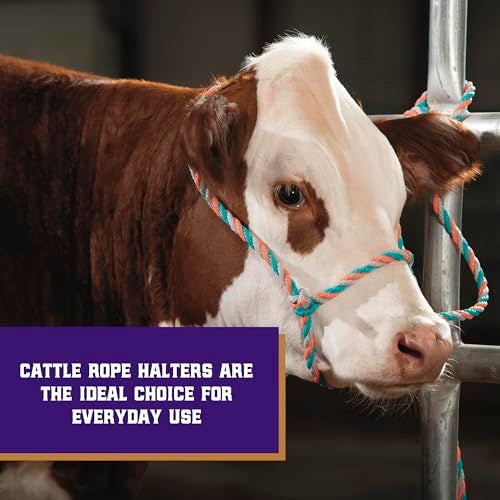 Weaver Livestock Braided Poly Rope Cattle Halter, Adjustable, Modern Style Cow Calf Halter, Livestock Handling Equipment for Showing, Coral/Gray/Teal - Image 2