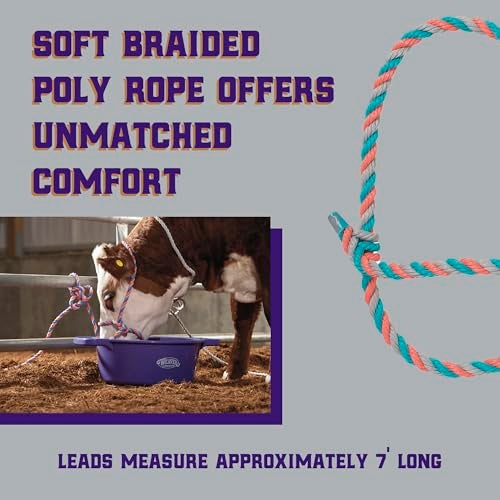 Weaver Livestock Braided Poly Rope Cattle Halter, Adjustable, Modern Style Cow Calf Halter, Livestock Handling Equipment for Showing, Coral/Gray/Teal - Image 3