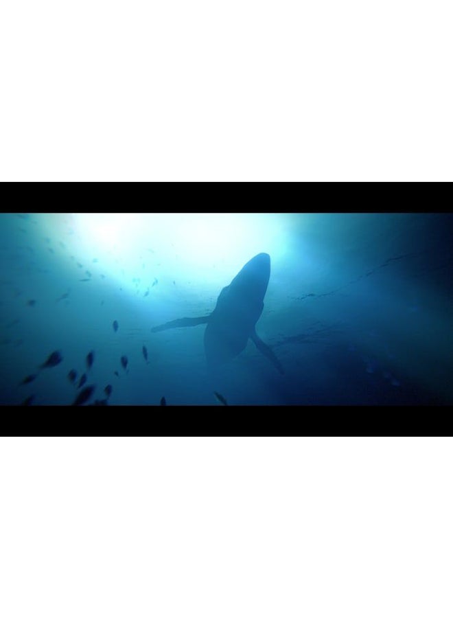 Spotlight Under The Waves Deluxe Edition PEGI PS5 - playstation_5_ps5 - Image 4