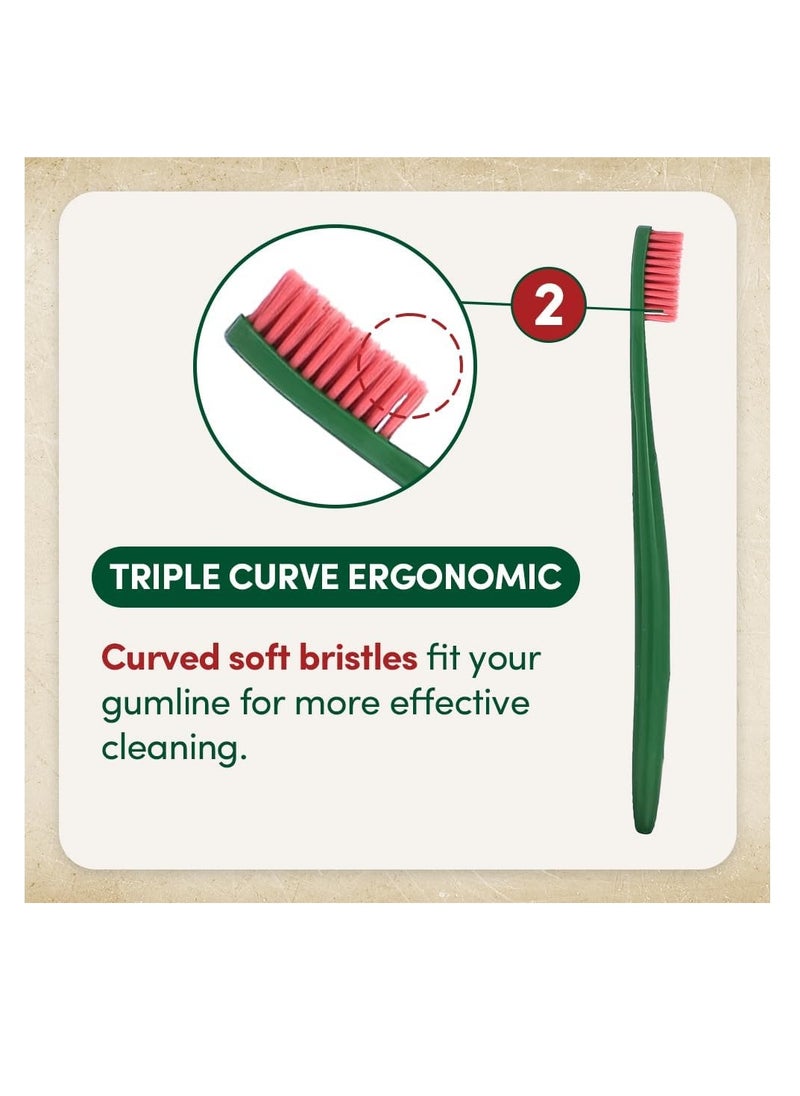 Regular Toothbrush, Soft Bristle, Triple Curve Ergonomic Manual Toothbrush (4 Pack)