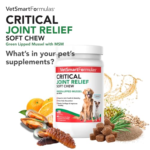 VetSmart Formulas Critical Joint Relief Soft Chew for Dogs – Hip & Joint Supplement with Glucosamine, MSM, Green-Lipped Mussel – Joint Discomfort, Hip Dysplasia & Mobility Support, Made in USA - Image 2