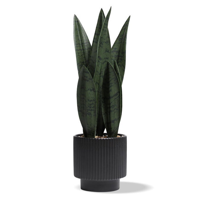 Chonsun Artificial Plants Sansevieria Snake Plant with Black Ceramic Pot Desk Small Fake Plant for Indoor Living Room Kitchen Bathroom Farmhouse Home Decor