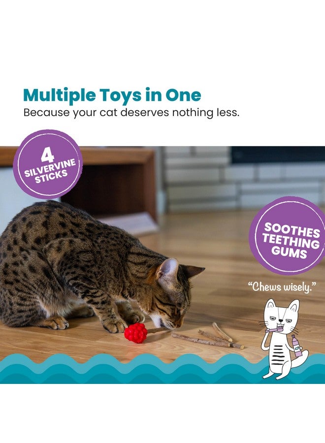 Catstages Dental Raspberry Teether with 4 Silvervine Sticks Included, Cat and Kitten Teething Toy, Red - Image 2