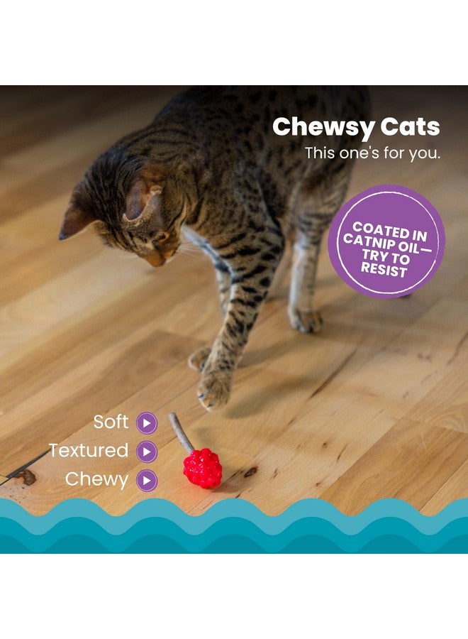 Catstages Dental Raspberry Teether with 4 Silvervine Sticks Included, Cat and Kitten Teething Toy, Red - Image 3