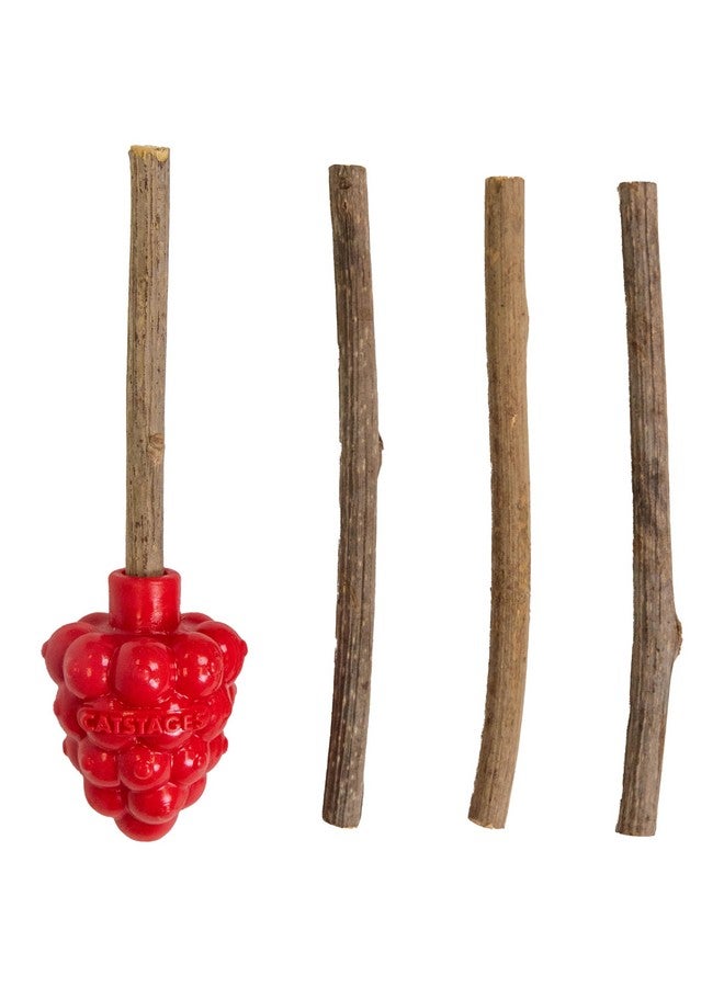 Catstages Dental Raspberry Teether with 4 Silvervine Sticks Included, Cat and Kitten Teething Toy, Red - Image 1