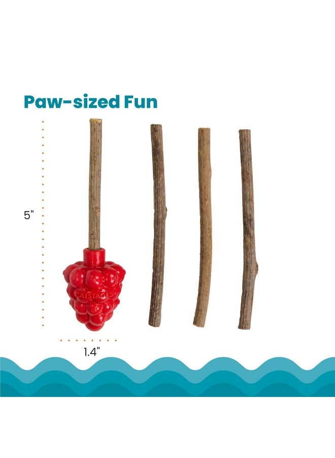 Catstages Dental Raspberry Teether with 4 Silvervine Sticks Included, Cat and Kitten Teething Toy, Red - Image 5