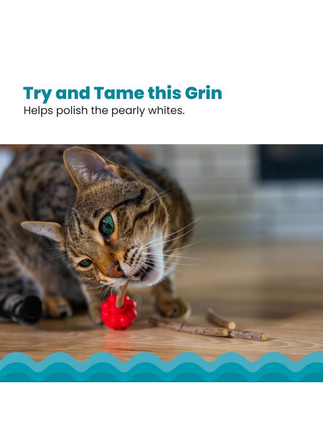 Catstages Dental Raspberry Teether with 4 Silvervine Sticks Included, Cat and Kitten Teething Toy, Red - Image 4