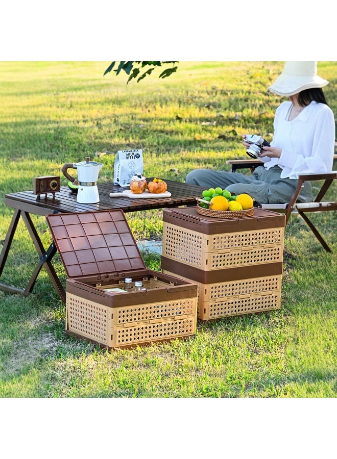 Portable Picnic Basket Handheld Food Storage Basket, Foldable Plastic Storage Box with Handles and Wheels for Home Kitchen Laundry Outdoor Picnic Camping, 2 Tier - Image 3