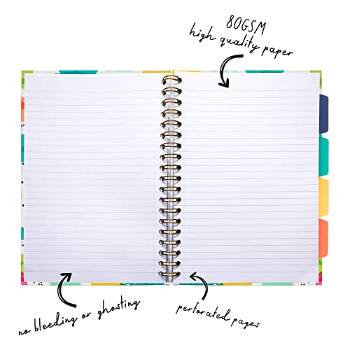 Pukka Pad, Carpe Diem 5-Subject Double Spiral Bound Notebook 3-Pack with Repositionable Dividers - 200 Pages of 80GSM Paper with Perforated Edges – Color Wash, B5 10 X 7in - Image 4