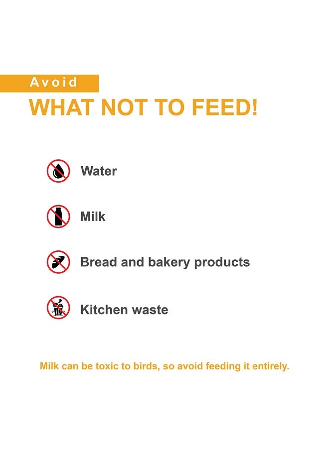 Multi Grain Hand Feeding Formula For All Baby Birds Comes With Feeding Syringe, 900G - Powder - pzsku/ZA8B43C347D967C271CABZ/45/_/1735817938/ccd881db-cf15-4457-a997-1e1c3f89b8d8