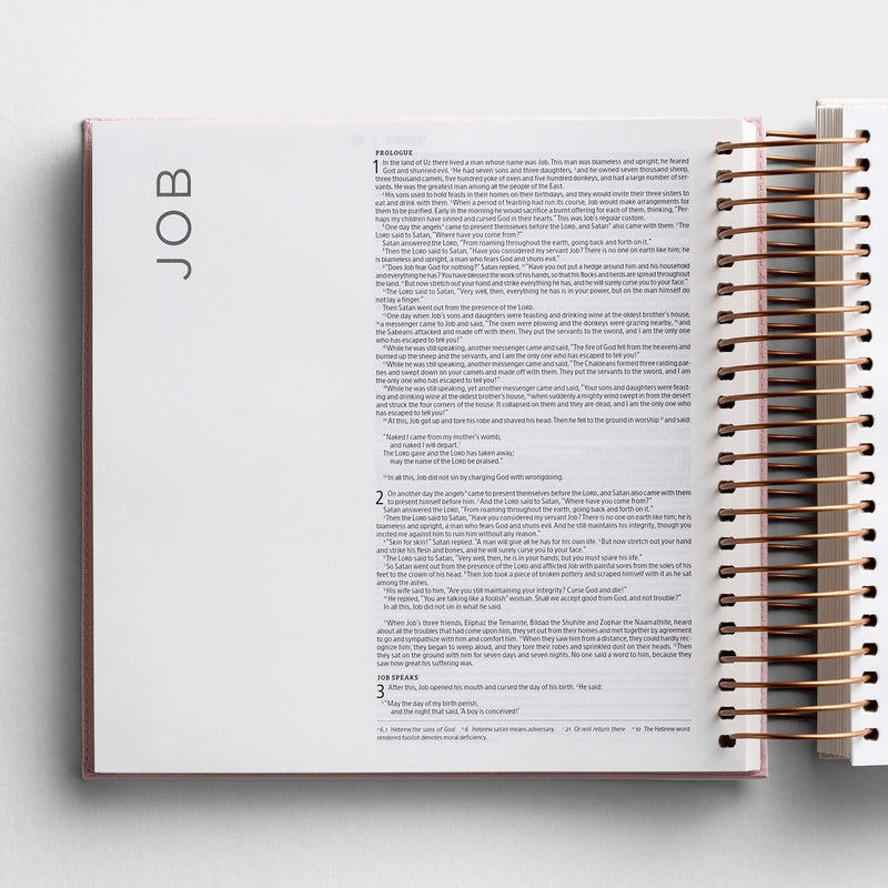 Dayspring Illustrating Bible NIV - Spiral Bound Bible Journal, Pink - Image 3