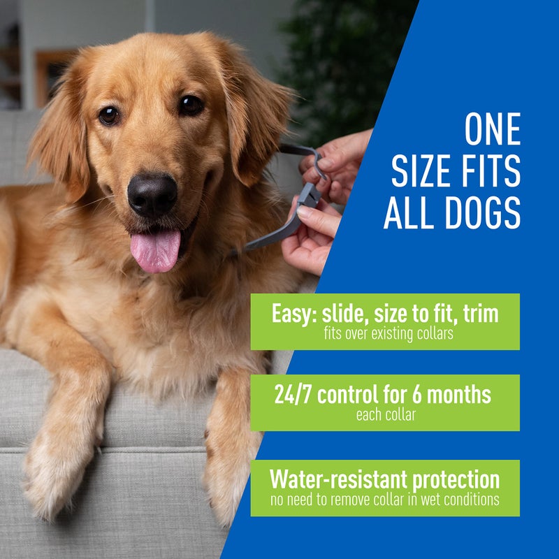 ADAMS Flea & Tick Collar for Dogs & Puppies, 2 Pack, 12 Month Protection, Adjustable One Size, Kills Fleas, Ticks & Repels Mosquitoes, Excluding California - Image 4
