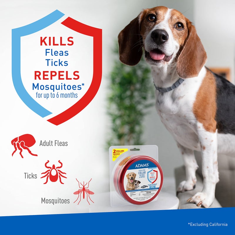 ADAMS Flea & Tick Collar for Dogs & Puppies, 2 Pack, 12 Month Protection, Adjustable One Size, Kills Fleas, Ticks & Repels Mosquitoes, Excluding California - Image 3