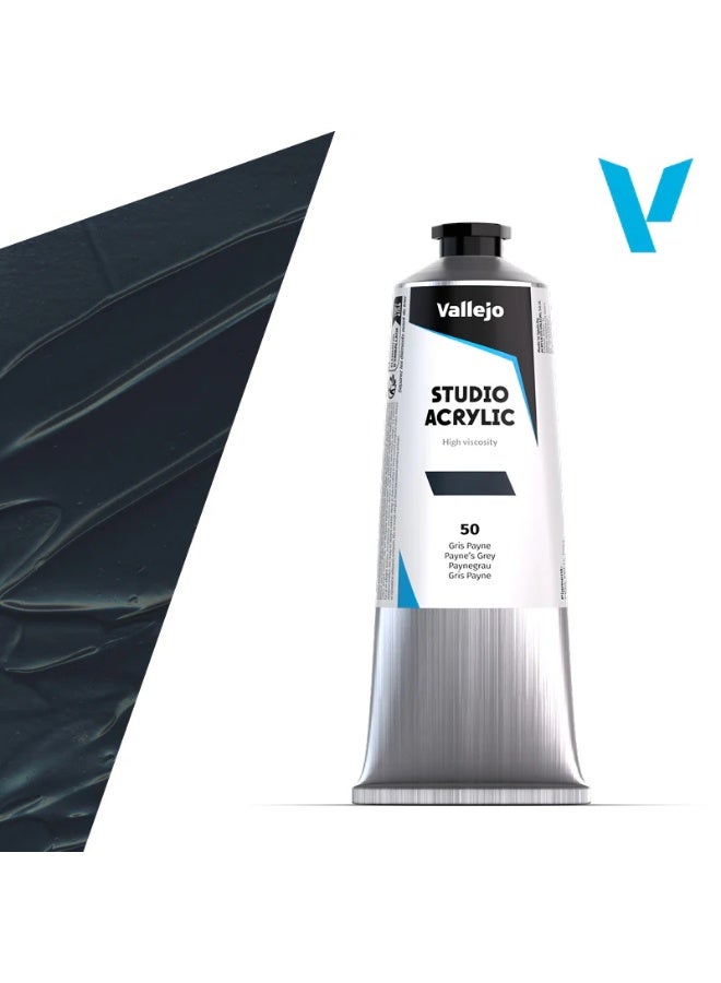 ألوان أكريليك احترافية للفنانين والاستوديوهات - رمادي باين، صبغة عالية، تغطية ناعمة على القماش والخشب - ١٢٥ مل