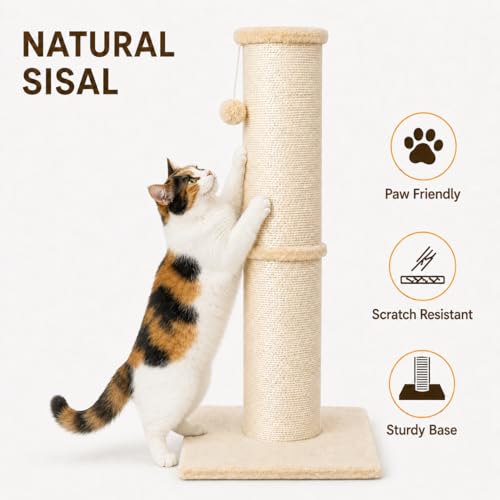 PAWSCRAT Cat Scratching Post 32 Inch High, 5.5 Inch Large Diameter Natural Sisal Cat Scratch Post, Scratch-Resistant and Durable Tall Cat Scratcher for Indoor Cats, Protect Your Furniture, Beige - Image 3