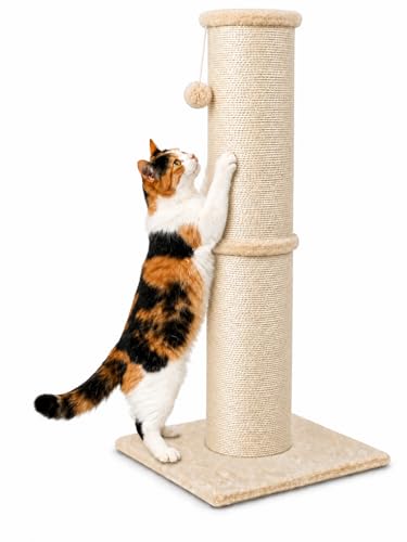 PAWSCRAT Cat Scratching Post 32 Inch High, 5.5 Inch Large Diameter Natural Sisal Cat Scratch Post, Scratch-Resistant and Durable Tall Cat Scratcher for Indoor Cats, Protect Your Furniture, Beige - Image 1