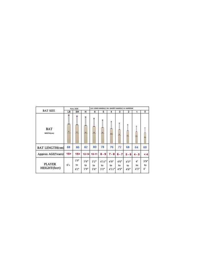 SG Catch Cricket Bat (Color May Vary) - Material: Wood - Image 2