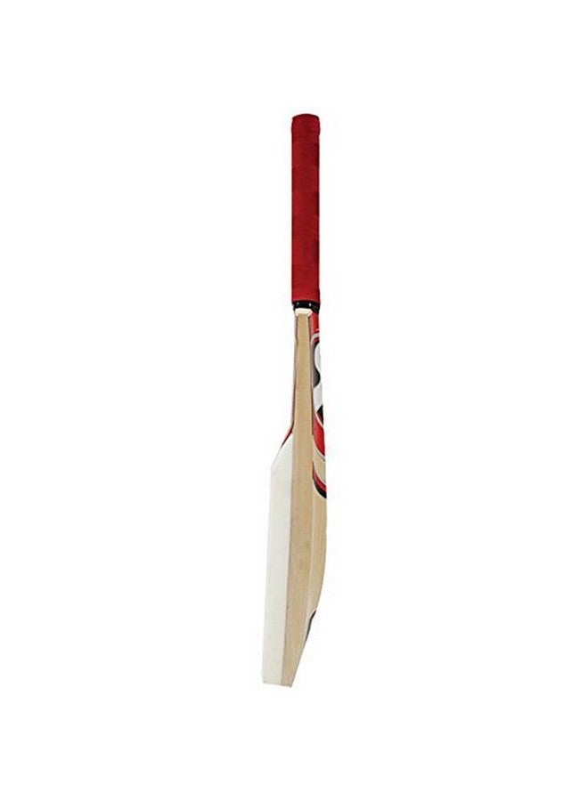 SG Catch Cricket Bat (Color May Vary) - Material: Wood - Image 1