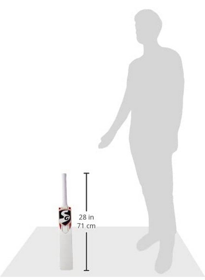 SG Catch Cricket Bat (Color May Vary) - Material: Wood - Image 3