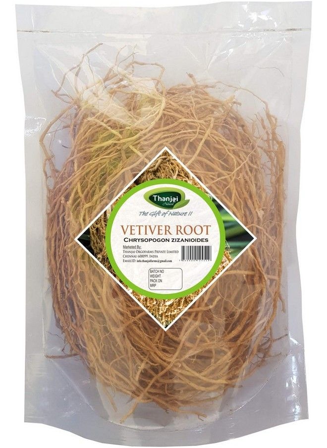 Thanjai Natural جذر نجيل الهند العشبي (Chrysopogon Zizanioides) طبيعي خالص عالي الجودة 100 جرام  - Image 1