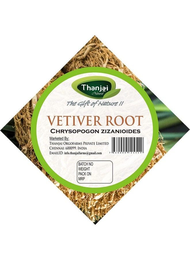 Thanjai Natural جذر نجيل الهند العشبي (Chrysopogon Zizanioides) طبيعي خالص عالي الجودة 100 جرام  - Image 3