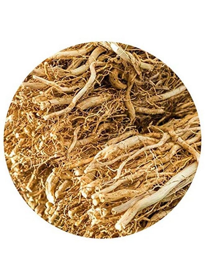 Thanjai Natural جذر نجيل الهند العشبي (Chrysopogon Zizanioides) طبيعي خالص عالي الجودة 100 جرام  - Image 4