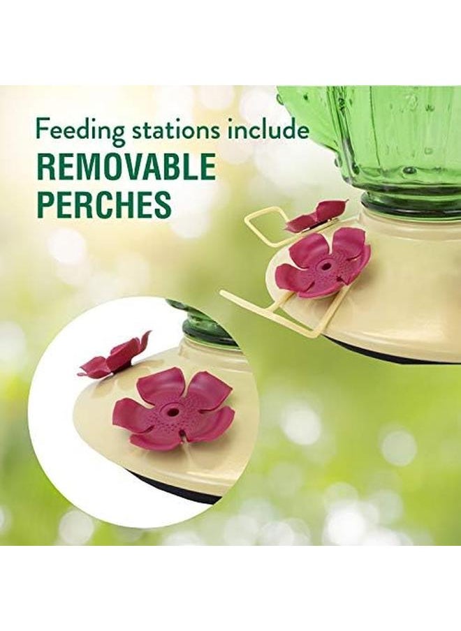Perky-Pet - 9111 2 Cactus Top Fill Glass Hummingbird Feeder – 32 Oz - Image 1