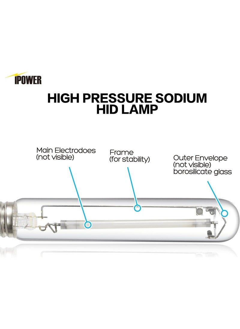iPower iPower 400W HPS Grow Light Bulb Lamp Pressure Sodium Bulb Lamp with High PAR Enhanced Red and Orange Spectrums for Plants Growth CCT 2100K  - Image 3