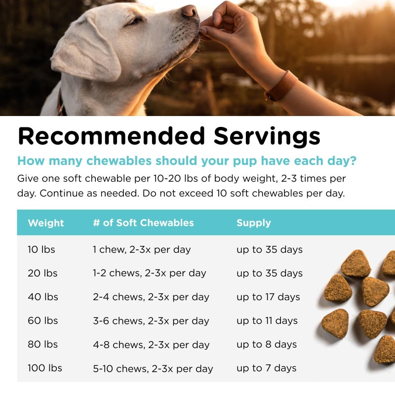 nutri vet Nutri-Vet Pet-Ease Soft Chews for Dogs, Vet Formulated with Chamomile & Tryptophan to Soothe and Calm During Storms, Separation Anxiety, and Loud Noises, Dog Calming Supplement, 6.0 oz - Image 5