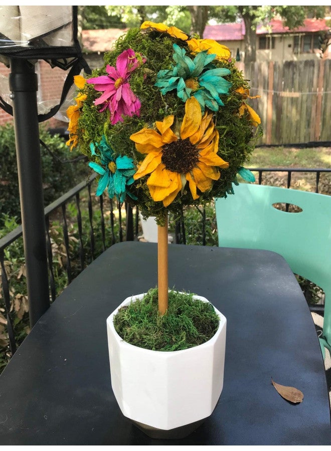 Activa أكتيفا 2610 هلام السيليكا لتجفيف الزهور، 5 باوند - Image 2