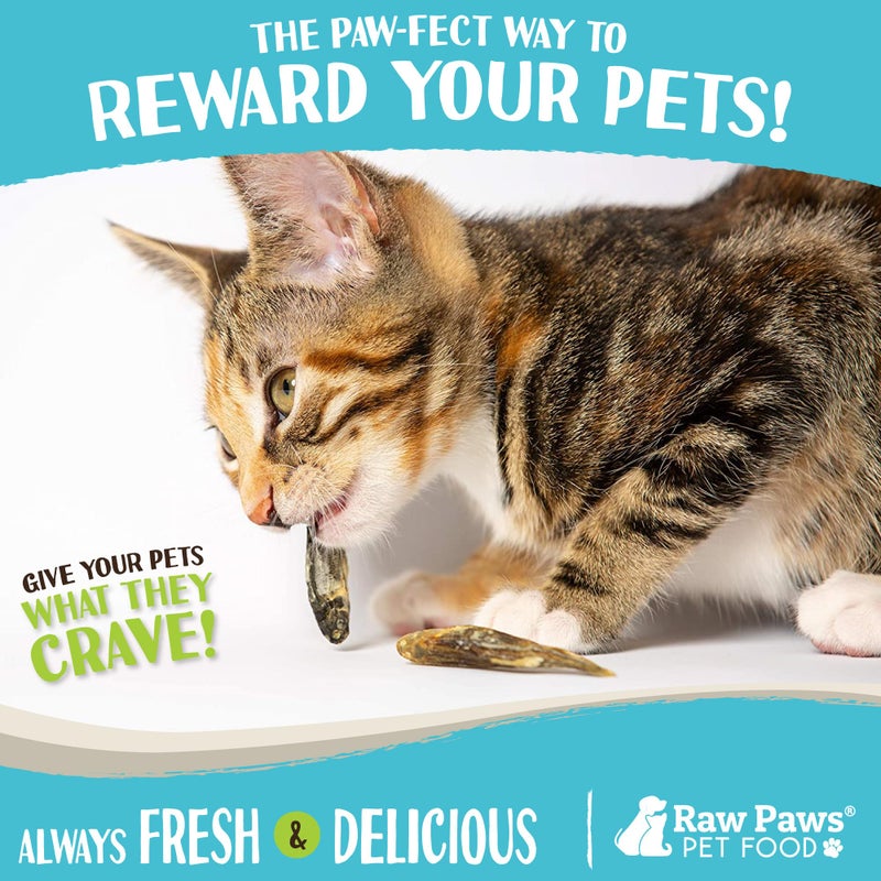 Raw Paws رو باوز سميلت مجفف بالتجميد من الأسماك للقطط والكلاب، 2 أونصة - مصنوع في الولايات المتحدة - سمك مجفف بالتجميد للقطط - مكافآت سمكية للكلاب بمكون واحد - مكافآت سمكية للكلاب - Image 5