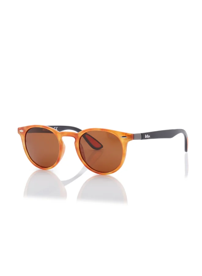 لي كوبر Polarized Sunglasses Brown Frame Brown Tortoise Mirror Lens 48mm  - LC1216C02
