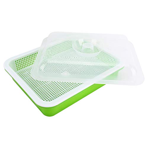 Homend 2 Pack Seed Sprouter Tray With Lid, Seed Germination Tray BPA Free Nursery Tray For Seedling Planting Great For Garden Home Office (2),Green - Image 4