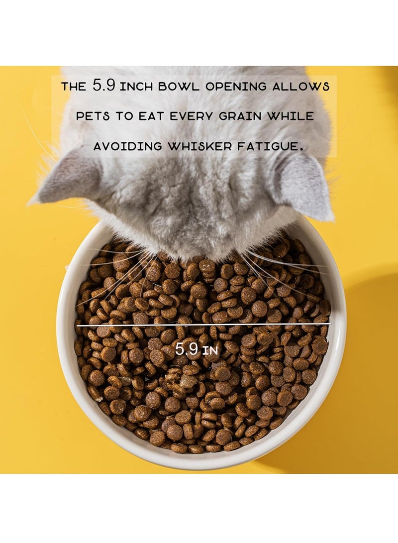 Raised Cat Bowl, Cat Food Bowl, Animal Theme Cute Ceramic Cat Bowl for Indoor Cats, Pet Slow Food Water Bowl, Good for Whiskers, Prevents Chin from Getting Black, Easy to Clean (Blue Bear) - Image 4