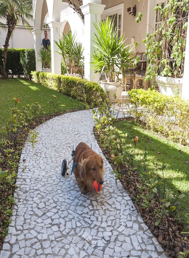 Chuckit! Dog Fetch Toy Ultra Ball Durable Rubber Fits Launcher Small 4 Balls - Image 5