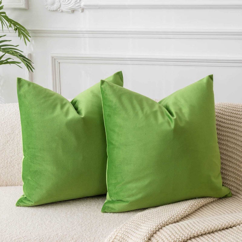 JUSPURBET Decorative Pillow Covers Set of 2 22x22 Velvet Throw Pillow Covers for Couch Sofa Bed Soft Cushion Covers Cases with Hidden Zipper for Living Room Home DecorApple Green