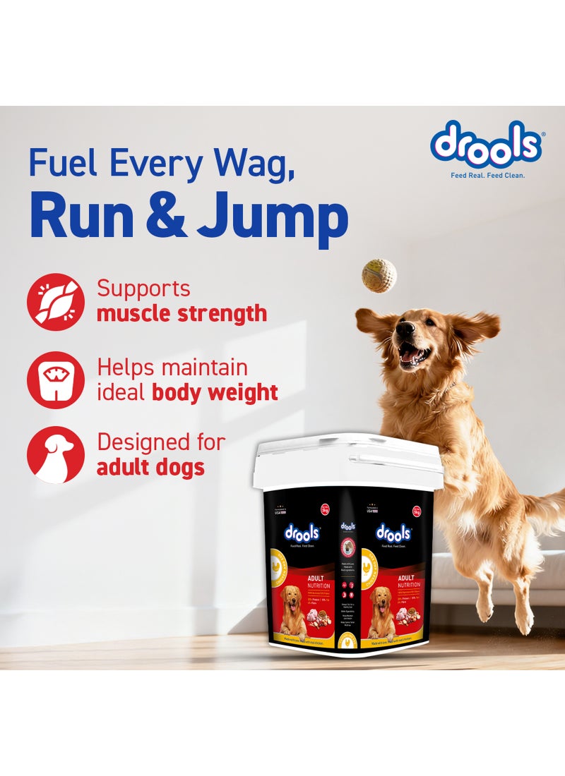 Drools Adult Dry Dog Food Chicken And Egg Container - Image 4