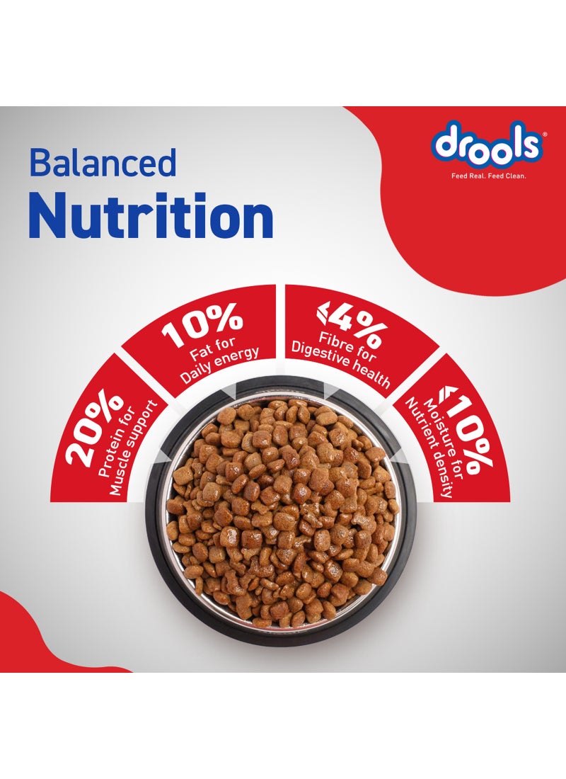 Drools Adult Dry Dog Food Chicken And Egg Container - Image 5