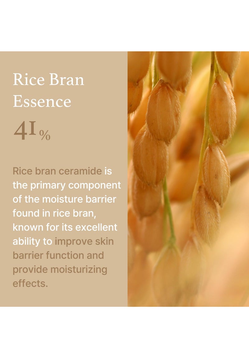 I'm from Rice Cream , 41% Rice Bran Essence with Ceramide, Glowing Look, Improves Moisture Skin Barrier, Nourishes Deeply, Soothing to Even Out Skin Tone, K Beauty - Image 5