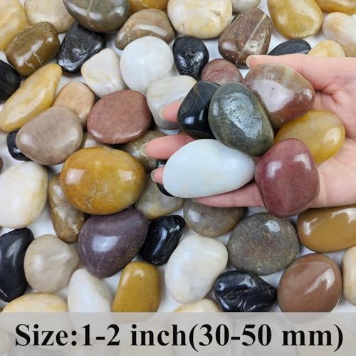 FANTIAN 2 lbs Pebbles for Plants, 1-2 inch Polished River Rocks for Plants Indoor Aquarium Terrarium, Stones for Planters Vase Landscaping and Outdoor Yard Decorative Stones - Image 2