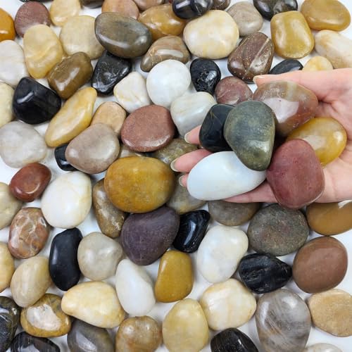 FANTIAN 2 lbs Pebbles for Plants, 1-2 inch Polished River Rocks for Plants Indoor Aquarium Terrarium, Stones for Planters Vase Landscaping and Outdoor Yard Decorative Stones - Image 1