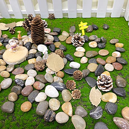 FANTIAN 2 lbs Pebbles for Plants, 1-2 inch Polished River Rocks for Plants Indoor Aquarium Terrarium, Stones for Planters Vase Landscaping and Outdoor Yard Decorative Stones - Image 4