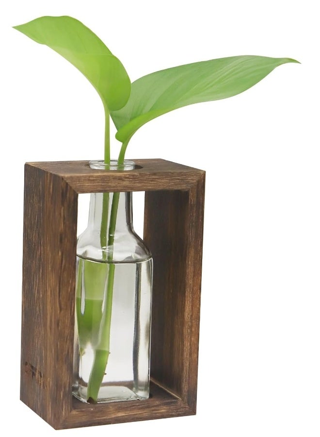 Plant Terrarium with Wooden Stand,Plant Wooden Station with Glass Vase for Hydroponic Plant Desktop Wooden Holder for Indoor Plants Home Garden Office Decoration Plants Plant Holder Lover Gifts - Image 1
