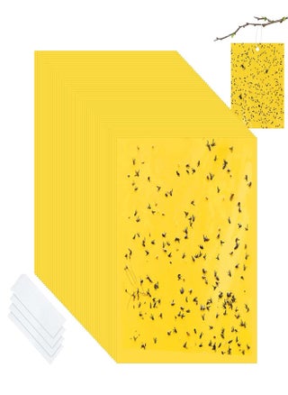 30-Piece Sticky Traps for Indoor or Outdoor Use, Flying Insects Catcher Such as Fruit Fly, Aphids, Whiteflies, Leafminers, Mosquitos, Fungus Gnats - pzsku/ZA8CBC5AC108297F926FAZ/45/_/1688199191/6dc6e15b-4d99-4285-b459-8398e36cdcab
