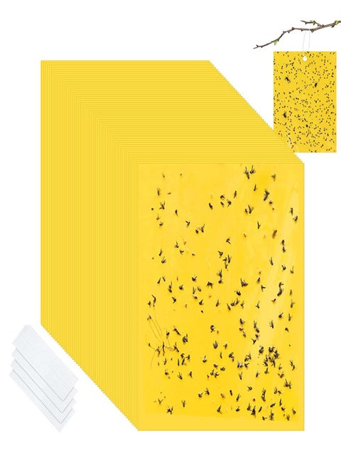 30-Piece Sticky Traps for Indoor or Outdoor Use, Flying Insects Catcher Such as Fruit Fly, Aphids, Whiteflies, Leafminers, Mosquitos, Fungus Gnats