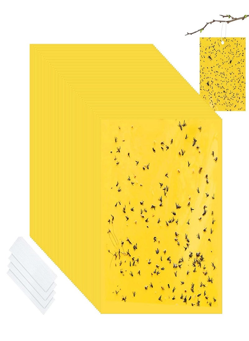 30-Piece Sticky Traps for Indoor or Outdoor Use, Flying Insects Catcher Such as Fruit Fly, Aphids, Whiteflies, Leafminers, Mosquitos, Fungus Gnats
