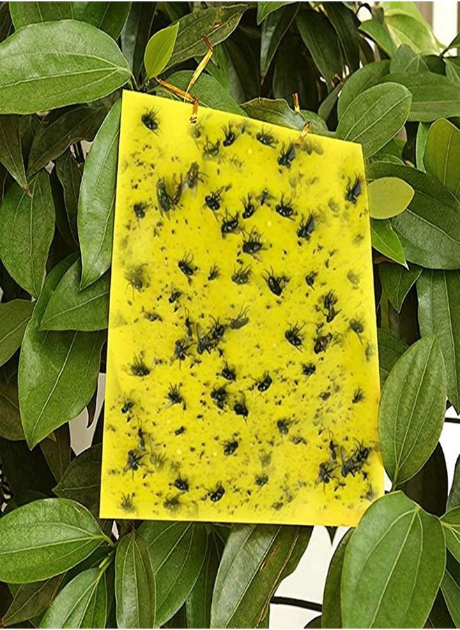 30-Piece Sticky Traps for Indoor or Outdoor Use, Flying Insects Catcher Such as Fruit Fly, Aphids, Whiteflies, Leafminers, Mosquitos, Fungus Gnats