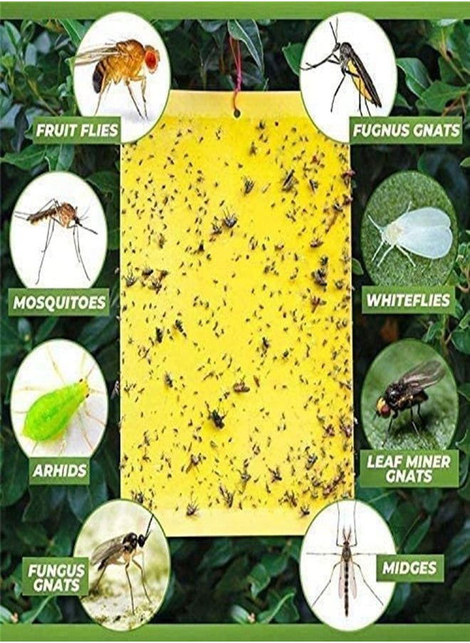 30-Piece Sticky Traps for Indoor or Outdoor Use, Flying Insects Catcher Such as Fruit Fly, Aphids, Whiteflies, Leafminers, Mosquitos, Fungus Gnats