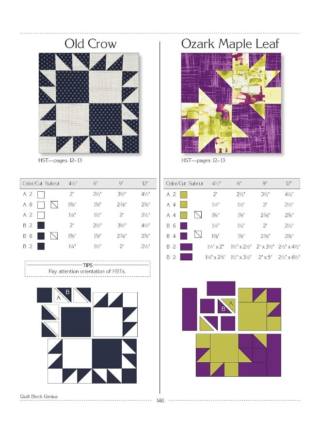 Quilt Block Genius, Expanded Second Edition: 1001 Pieced Quilt Blocks and No Math Charts