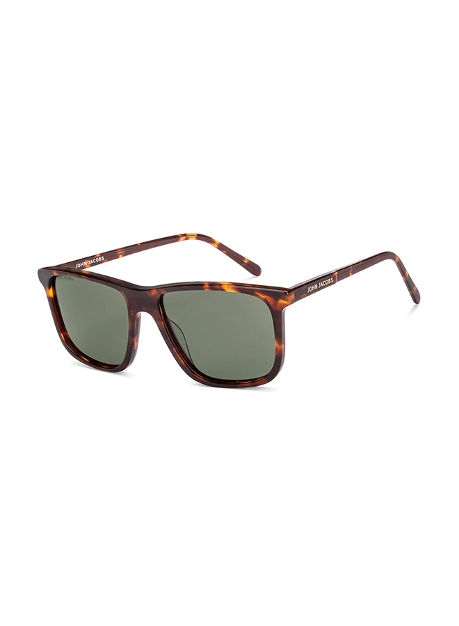 John Jacobs Brown Gradient Gold Full Rim Square John Jacobs JJ Tints JJ S70016-C2 Sunglasses